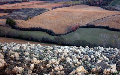 Lorenzo Bojola, secondo appuntamento con Fotografia – Tracce Fiorentine