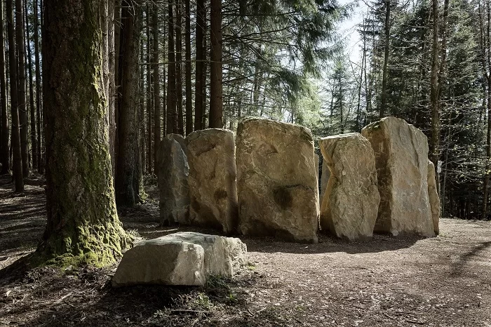 OCA – Oasy Contemporary Art and Architecture a Oasi Dynamo