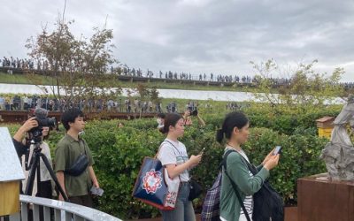 Progetto SCULTURE – NUOVI SEGNI 