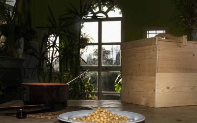 CUCINARE IL FUTURO: QUANDO LA SOSTENIBILITÀ PARTE DALLA CUCINA