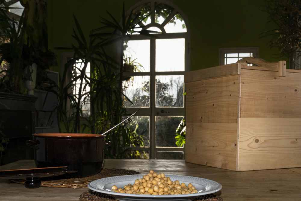 CUCINARE IL FUTURO: QUANDO LA SOSTENIBILITÀ PARTE DALLA CUCINA