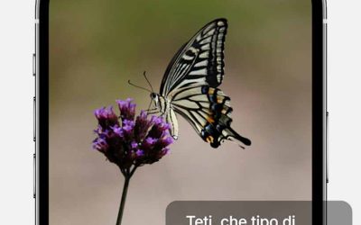 Con TetiAI nasce  l’intelligenza artificiale etica e Made in Italy