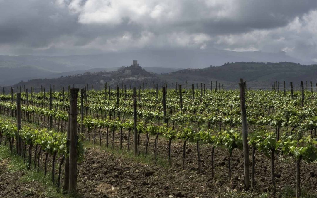 IL ​COMITATO NAZIONALE VINI DEL MASAF A​PPROVA LE MODIFICHE AL DISCIPLINARE DI PRODUZIONE PE​R IL VINO SPUMANTE E PER IL NOME TOSCANA