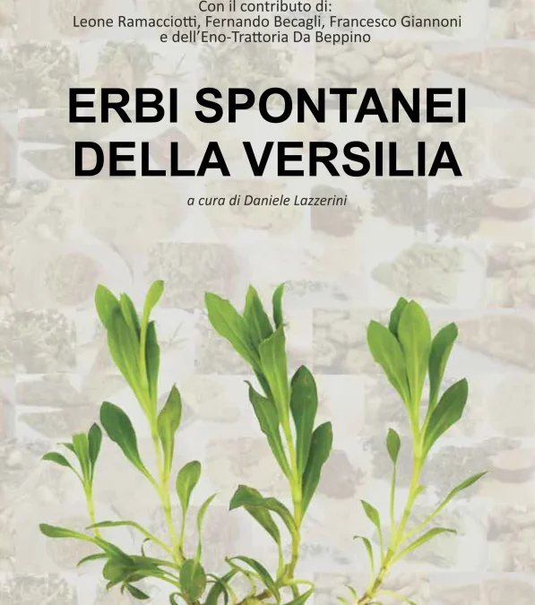 Al Caffè della Versiliana gli “Erbi spontanei della Versilia”: due libri tra natura, tradizione e solidarietà per i bambini dell’Ospedale del Cuore.